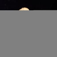 img_1491