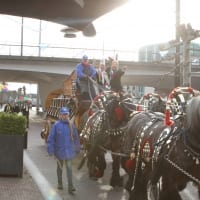 IMG_8128